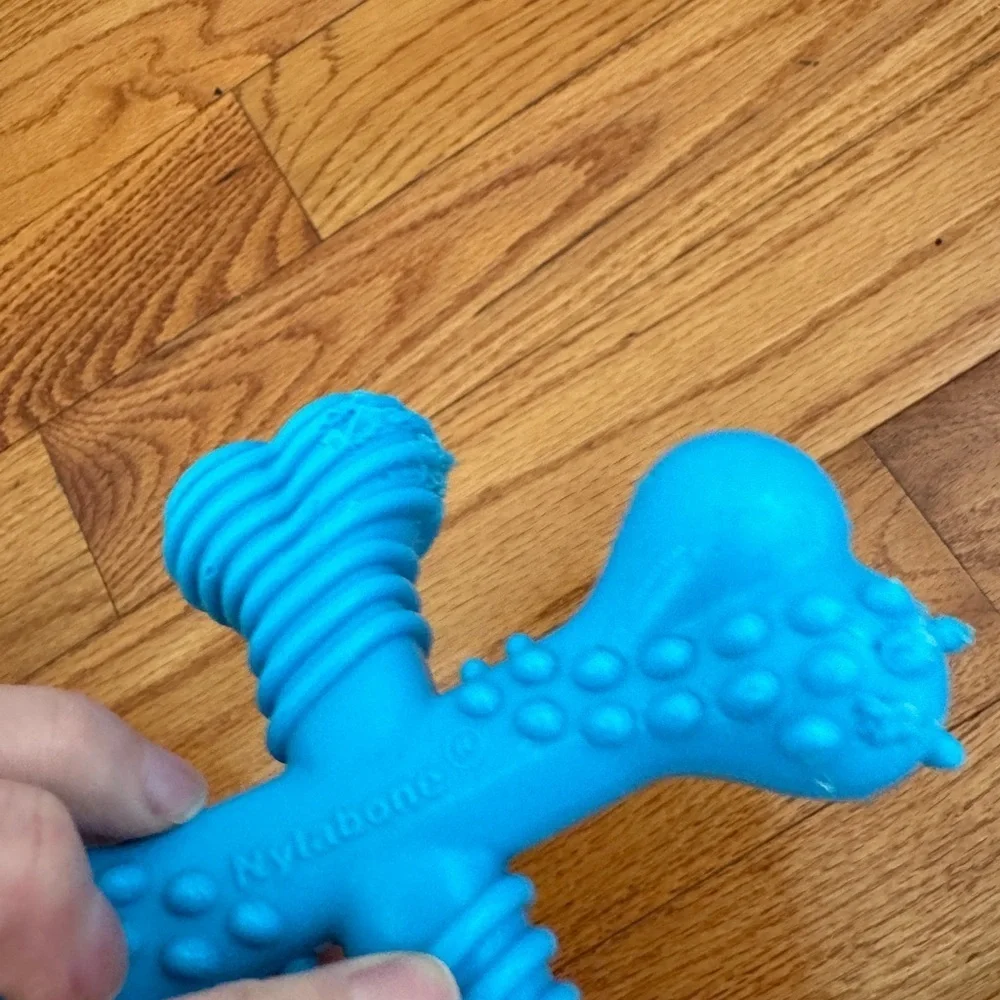 Nylabone good chewed